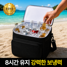루지스 캠핑 피크닉 아이스 쿨러 보온 보냉백, 1개, 다크블랙