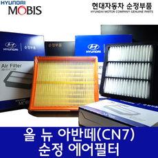 올뉴아반떼 에어필터 / 28113AA100 / 아반떼(CN7) 에어클리너 / 아반떼 20 휘발유/LPG 에어필터 / 28113 AA100 / 순정부품, 1개