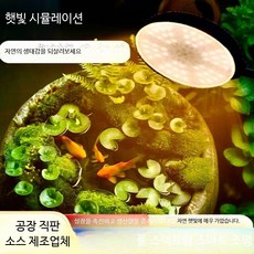 광합성 LED식물등식물성장조명 기능 수경재배기용 풀, G_60W 312개 비드 햇빛차단 넓은범위, 312개
