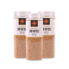 고대곡물 카무트 호라산밀 정품 (용기X), 3개, 1kg