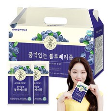 GNM자연의품격 품격있는 블루베리즙, 30개, 70ml
