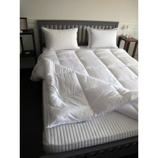 (백화점용) 알러지케어 마이크로 이불솜