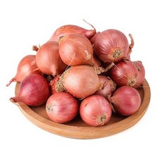 중국식품 중국 전통양파 샬롯 모충, 1개, 1KG