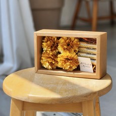 아스파시아 글로우 골드 카네이션 용돈박스, 1개