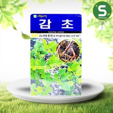 저스틴앤클로이 감초 약초종자 500립, 1개
