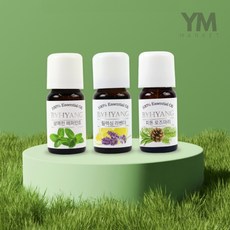 YM 바이향 아로마 에센셜오일 10ml 천연에센셜오일, 1개, 피톤로즈마리