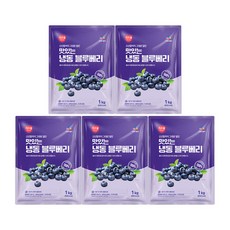 CJ프레시웨이 이츠웰 냉동블루베리, 5개, 1Kg