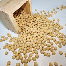 산지직송 올해 수확 국산 햇 콩나물콩 나물콩 1kg 고급형, 1개