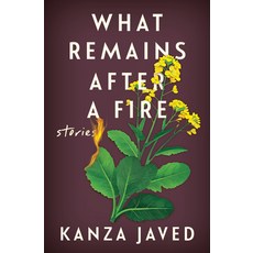 (英文圖書)What Remains After a Fire: Stories 精裝版, W. W. Norton & Company, 英文