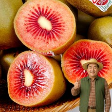 노씨고집 뉴질랜드 프리미엄 제스프리 레드키위, 1개, 중과 (5개)