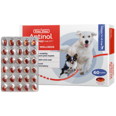 Antonio Rapid 安適得 狗狗關節保健膠囊 60粒 - 犬用關節護理、心血管保健, 1個, 骨骼/關節強化, 60顆