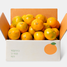 깨비농원 제주 하우스 감귤, 1박스, 하우스감귤 1.5kg 중과