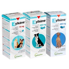 질켄 강아지 스트레스 해소 완화 영양제 소형견 중형견 대형견 베토퀴놀 반려동물, 75mg, 1개