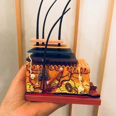 인체 피부과 조직 모형 4D 단면 해부 병원 조립, 1세트, 머리