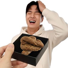 깔끔더하기 가짜 똥 쓸데없는 재미있는 킹받는 선물, 1개, 브라운