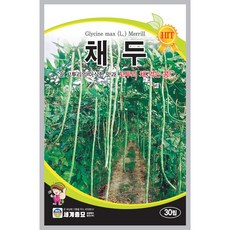 채두 씨앗 30립 텃밭 채소 씨, 1개 1개