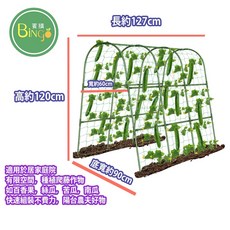 賓購 盆栽支撐架 植物爬藤花架 可改變形狀 園藝支架 花盆支架 圍籬 陽台菜棚 爬藤架 可拆解, 1個, 爬藤植物種植架(尺寸請參考圖片)
