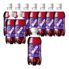 농심 웰치스 포도맛, 300ml, 10개