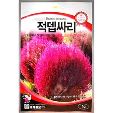 적뎁싸리 1g 26년 세계꽃씨앗, 적뎁싸리1g, 1개