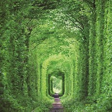 직소 터널 PK1000-3114 조각퍼즐 사랑의 1000조각 93542ea 1(ea), 1개