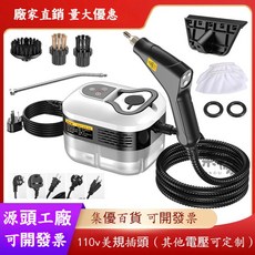 精品 110V高溫蒸汽清洗機 數顯廚房油煙機衛浴清潔機 高溫噴霧消毒機, 黑白色,110V美規-智慧數顯-手柄開關