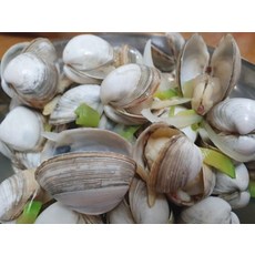 국산 동죽조개 2kg 160미내외 칼국수 조개탕용, 1kg x 1박스