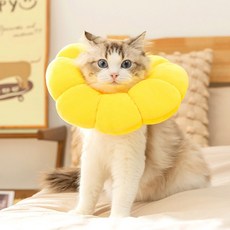 숑숑펫 해바라기 소프트 긁음 방지 반려동물 넥카라, 1개, M