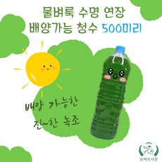 물벼룩 수명 연장 배양가능 청수 - 그린워터 500ml