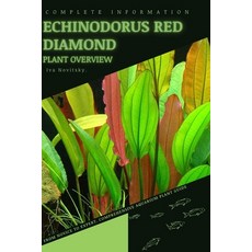 (영문도서) Echinodorus Red Diamond: From Novice to Expert. Comprehensive Aquarium Plants Guide Paperback, Independently Published, English, 9798854015875