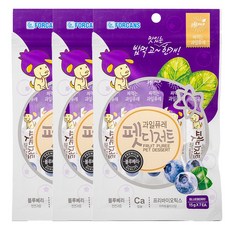 포켄스 강아지 과일퓨레 펫디저트 짜먹는 간식 약먹이기, 블루베리, 105g, 3개