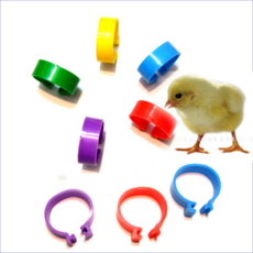 병아리 닭 인식표 발목밴드 조류인식표 다리밴드 팔찌, 인식팔찌 8mm(10개), 1개