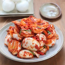 해남화원농협 이맑은 양파김치 5kg, 1개