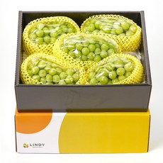 고당도 프리미엄 샤인머스켓 1송이 포도 청포도 고당도 선물 세트 샤인머스캣 여름 과일 LD, 1박스, 4-5송이 (4kg)