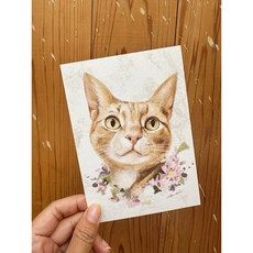 動物的日常_開心做無聊事系列明信片，手繪風動物明信片，趣味生活明信片，高品質紙張明信片，清新簡約明信片, a.橘貓的開心做無聊事, 1個