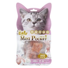 더캣츠 그대로 미니포켓 고양이간식, 연어맛, 40g, 1개