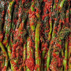 [갓미학] 100% 국내산 여수 돌산 갓김치, 3kg, 1개