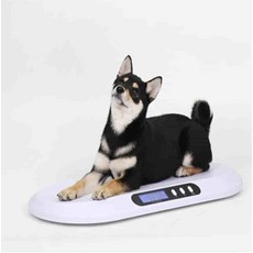완자마트 반려동물 전자 체중계 20kg