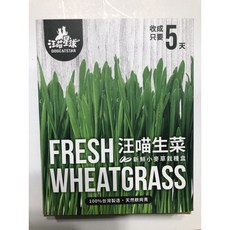 汪喵星球 貓草/狗草 新鮮小麥草栽培 貓咪生菜, 單盒