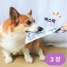 헐츠앤허그 강아지 노즈워크 신문 장난감, 3개