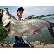 廣隆 春節特價中 18cm 26g 路亞米諾魚餌 仿生餌 假魚 海釣 釣魚 假餌 硬餌 擬餌, 1個, 不挑色 隨機發貨, 26克左右