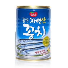 동원 자연산 꽁치 300g x1캔 / 통조림