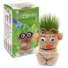 머리가 자라나는 잔디인형 키우기 (새싹키우기 미니화분 자연학습 원예 교육용 체험학습), 랜덤1p, 1개