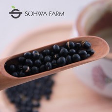 국산 검은콩차 쥐눈이콩차 500g 약콩차, 1개, 1개입