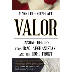 (영문도서)Valor Paperback, Taylor Trade Publishing, English, 9781630761448