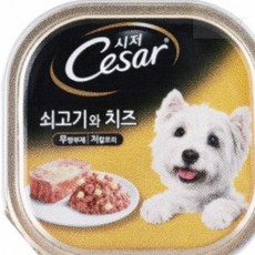 자깡몰 시저 쇠고기와 치즈 캔 100g 개간식