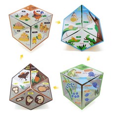 생물 한살이 칼레이도 사이클 수업키트 5인용 관찰 과학놀이키트 실험키트 과학실험, 1개