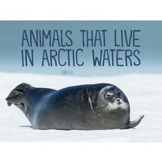 Animals That Live in Arctic Waters: English Edition Paperback, Inhabit Education Books Inc., 9780228702092