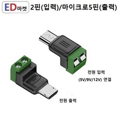 CTE736 C타입 터미널 2핀 젠더 마이크로5핀, 1개, 2핀(입력)/마이크로5핀(출력), 2cm