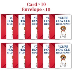 嗨購 新款大尺寸生日幽默卡片信封套裝 可愛卡通創意爆笑生日祝福卡, 1個