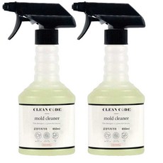 클린코드 초강력 곰팡이제거제 벽 벽지 화장실 베란다 실리콘 창틀 욕실 결로, 2개, 650ml